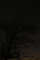 Burg,Steinsberg,Sonnenuntergang