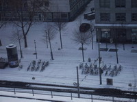 verschneite Fahrrder in Mannheim