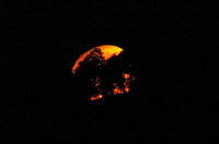 Mond hinter Baum, moon behind tree