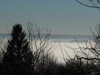 Nebel im Neckartal