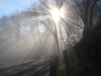 Nebel und Sonnenstrahlen im Neckartal