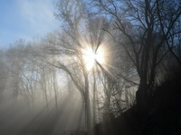 Nebel und Sonnenstrahlen im Neckartal