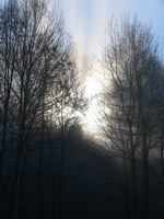 Nebel und Sonnenstrahlen im Neckartal