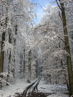 Feldweg im Winter bei Daisbach